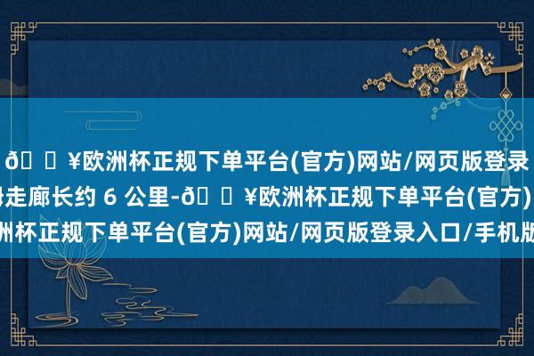 🔥欧洲杯正规下单平台(官方)网站/网页版登录入口/手机版内察里姆走廊长约 6 公里-🔥欧洲杯正规下单平台(官方)网站/网页版登录入口/手机版