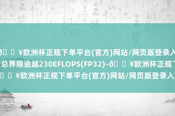 🔥欧洲杯正规下单平台(官方)网站/网页版登录入口/手机版我国算力总界限逾越230EFLOPS(FP32)-🔥欧洲杯正规下单平台(官方)网站/网页版登录入口/手机版